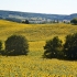 Sur le Chemin