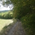 le chemin