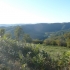 Paysage Limousin
