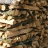 Le bois Limousin