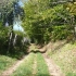 Le Chemin